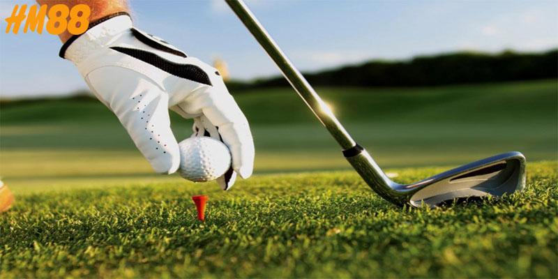 Các loại kèo phổ biến