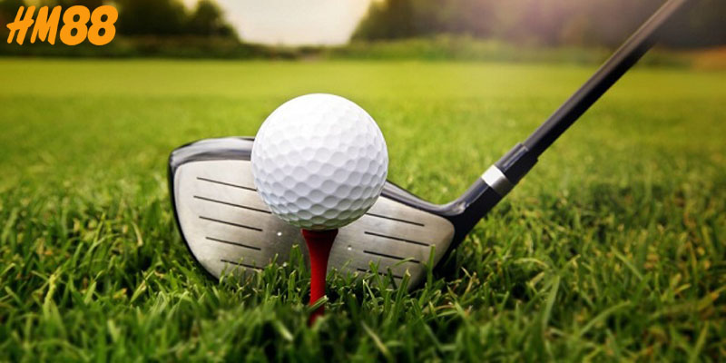 Cách cá độ thắng lớn