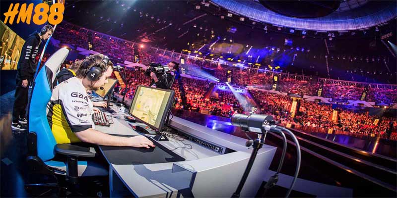 Đỉnh cao giải trí điện tử, khai phá trải nghiệm mới