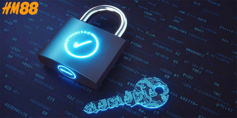 Quy định của nhà cái giúp bảo vệ quyền lợi các bên